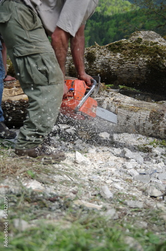 Photo: bucheron - abattage d'arbre bucheron - abattage d'arbre