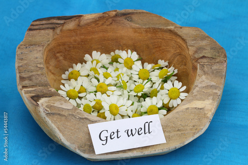 Photo: Get well card on teak root bowl with fresh chamomile flowers Get well card on teak root bowl with fresh chamomile flowers