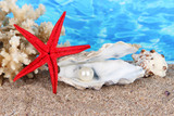 Open oyster with pearl on sand on water background
