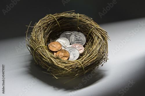 Photo: Change inside a bird's nest Change inside a bird's nest