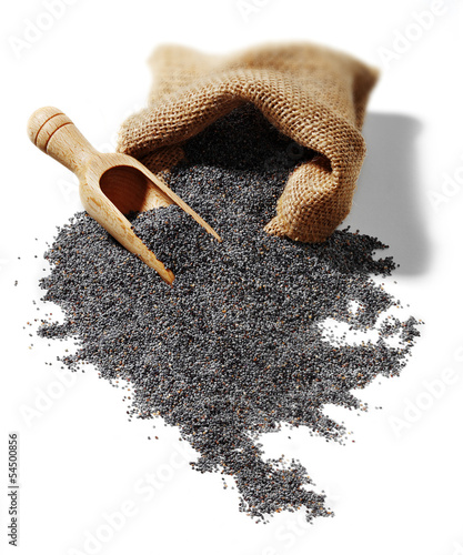 Photo: poppy seeds isolated poppy seeds isolated