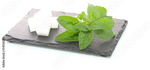 Photo: Stévia et sucre Stévia et sucre