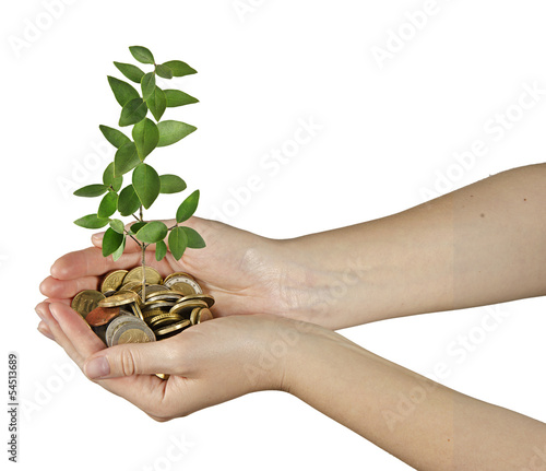 Photo: Investing to green business Investing to green business