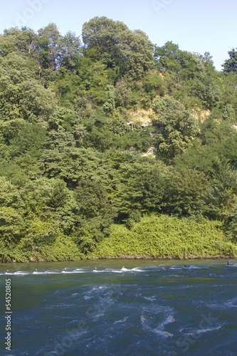 Photo: Glimpse of the Adda river Glimpse of the Adda river