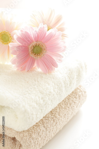 Photo: pastel pink gerbera on towel for interior goods image pastel pink gerbera on towel for interior goods image