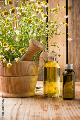Photo: Chamomile. Chamomile.