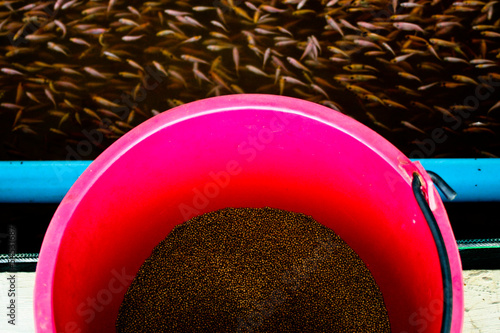 Photo: commercial food for fish farm commercial food for fish farm