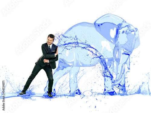 Photo: water's elephant water's elephant