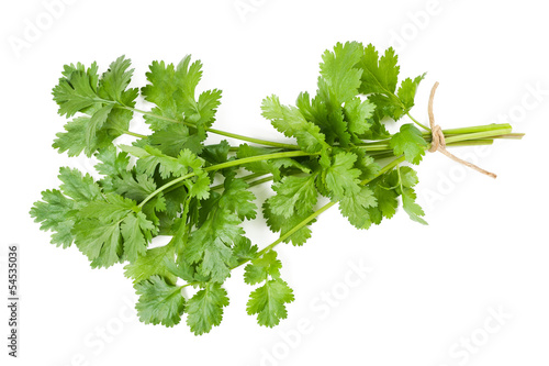 Photo: Coriander Coriander