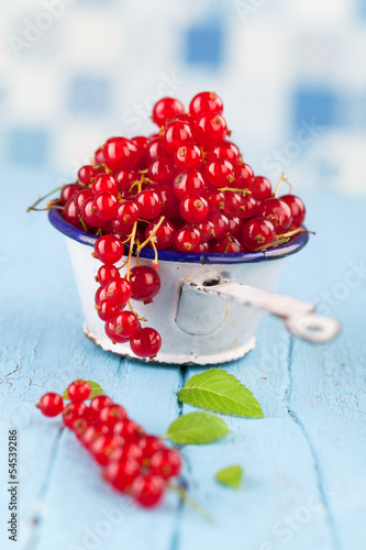Photo: frische rote Johannisbeeren frische rote Johannisbeeren