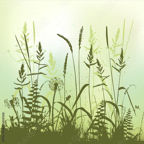 Naklejka na szybę Real grass silhouette, meadow during summertime