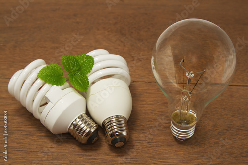Photo: Incandescent and Compact fluorescent , concept energy-saving Incandescent and Compact fluorescent , concept energy-saving