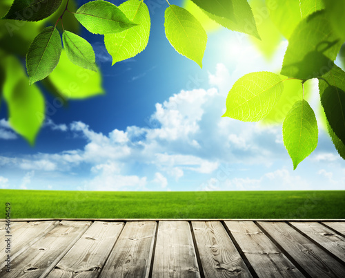Photo: spring sunny background and wooden surface spring sunny background and wooden surface