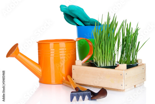 Photo: Seed box with seedling isolated on white Seed box with seedling isolated on white