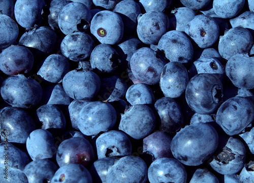 Photo: Blueberries fruit Blueberries fruit