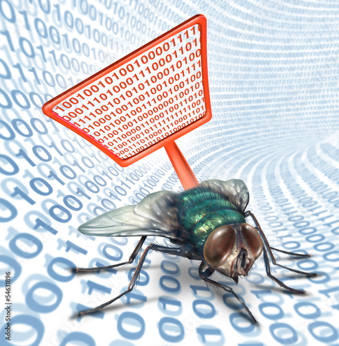 Illustration: Computer Bug Security Computer Bug Security