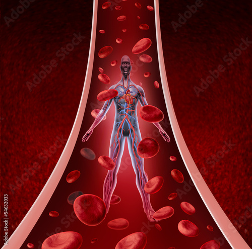 Illustration: Human Circulation Health Human Circulation Health