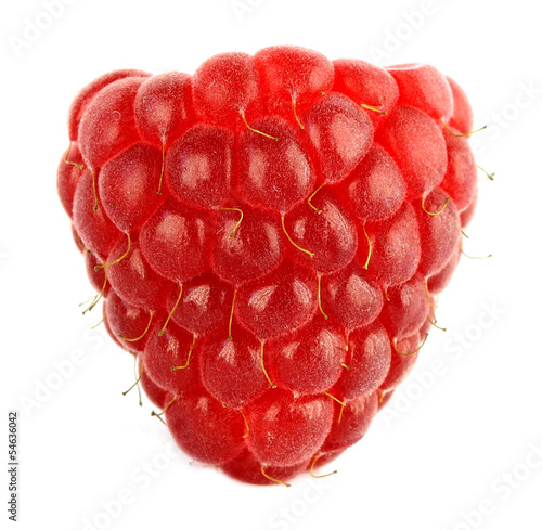 Photo: Raspberry Raspberry
