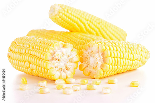 Photo: corn isolated corn isolated