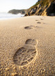 Footprints detail in the sand of the beach Footprints detail in the sand of the beach