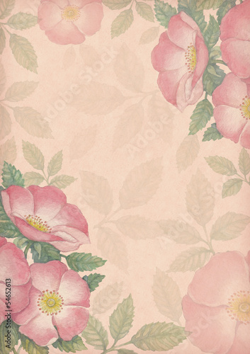 Illustration: Artistic background with watercolor illustration of dog-rose Artistic background with watercolor illustration of dog-rose