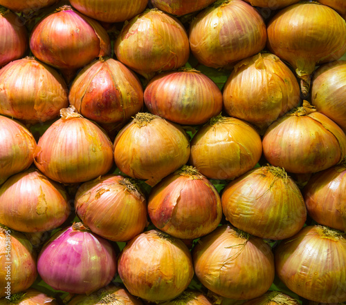 Photo: Fresh onions Fresh onions