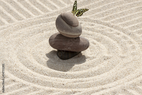 Photo: galets et papillon sur sable galets et papillon sur sable