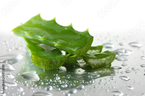 Photo: Close up of aloe leaves with drops Close up of aloe leaves with drops