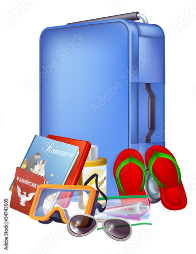 Vector: Trolley case and packing Trolley case and packing