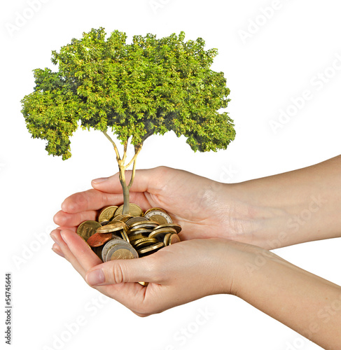 Photo: Investing to green business Investing to green business