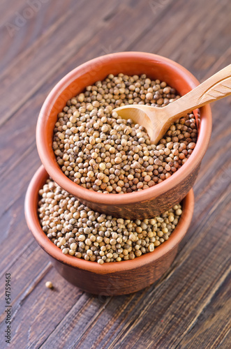 Photo: coriander coriander
