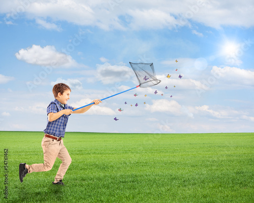 Photo: Child running and catching butterflies with net on a field Child running and catching butterflies with net on a field
