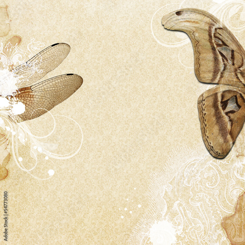 Illustration: Vintagegrunge background with wings Vintagegrunge background with wings