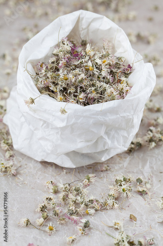 Photo: Dry daisies Dry daisies