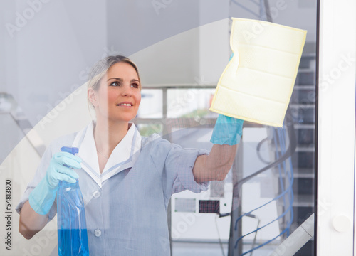 Photo: Young Maid With Bottle And Sponge Young Maid With Bottle And Sponge