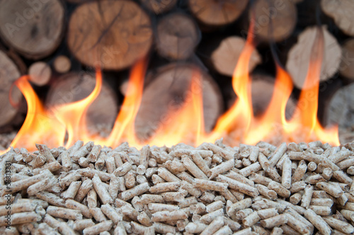 Photo: Biomass Biomass