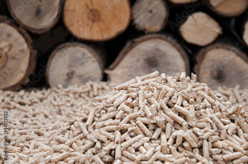 Photo: Pelllets- biomass Pelllets- biomass
