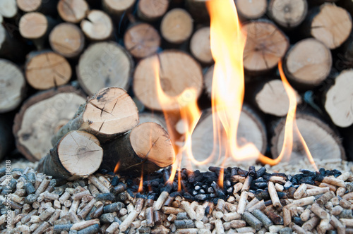 Photo: Biomass Biomass
