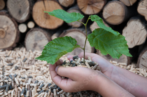 Photo: Save the Nature Save the Nature