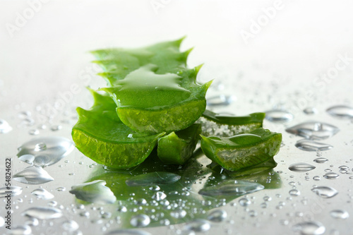 Photo: Close up of aloe leaves with drops Close up of aloe leaves with drops