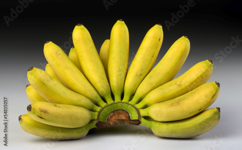 Photo: Bananas right off the banana tree. Bananas right off the banana tree.