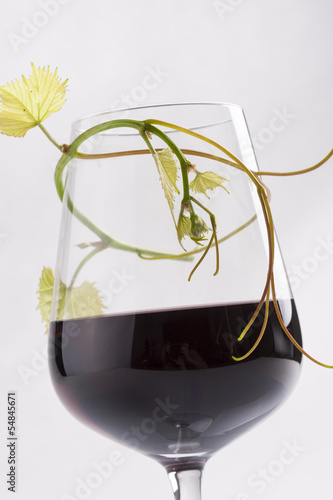 Photo: Wine Wine