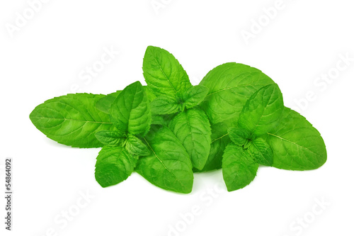 Photo: Mint Mint