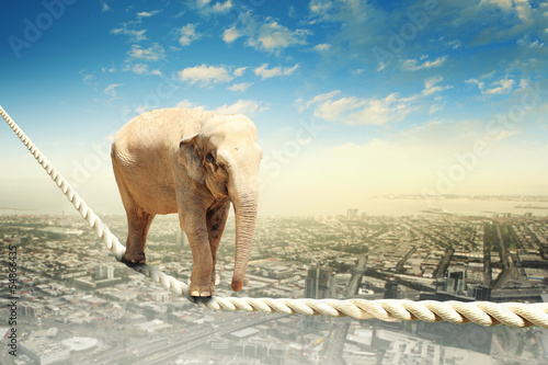 Photo: Elephant walking on rope Elephant walking on rope