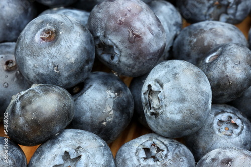 Photo: Heidelbeeren Großaufnahme Heidelbeeren Großaufnahme