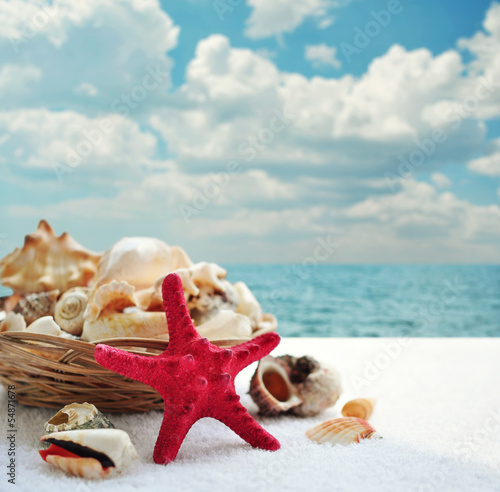 Photo: Starfish and seashells Starfish and seashells