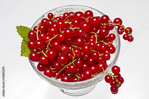 Photo: Rote Johannisbeeren Rote Johannisbeeren