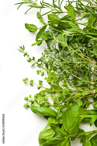 Photo: various herbs various herbs