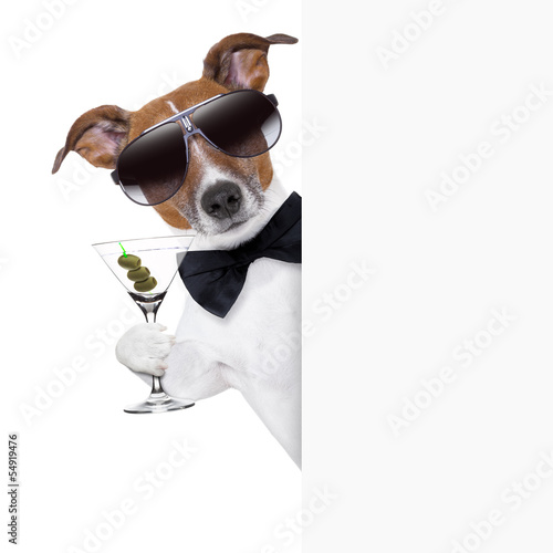 Photo: dog toasting dog toasting
