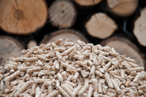 Photo: Pelllets- biomass Pelllets- biomass